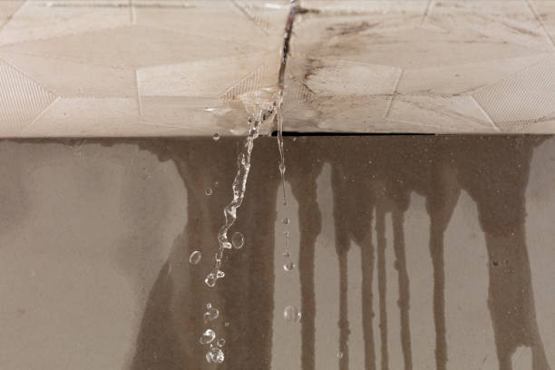 Professional Burst Pipe Cleanup technician working in Letha, ID